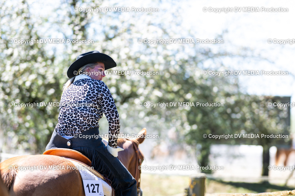 Z91_6202 | dv-media-shop - Realisiert mit Pictrs.com