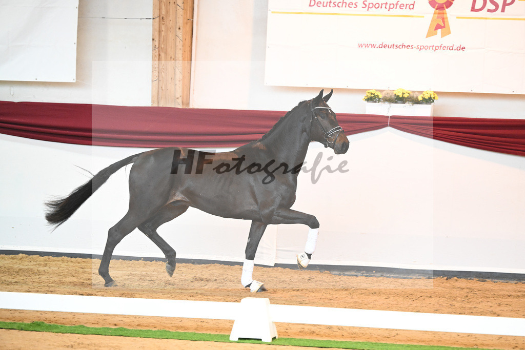 Kat-Nr. 40 v. Lord Europe_Bergmann_66221885 | hf-fotografie - Realisiert mit Pictrs.com