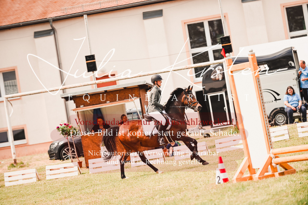 DSC_6923 | Pferde- und Turnierfotografie in Westsachsen. Pferdeportraits, Auftragszeichnungen und intuitive Kunst.