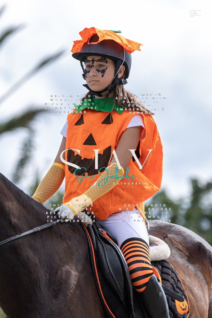 IMG_2218 | s-jay-photography - Realisiert mit Pictrs.com