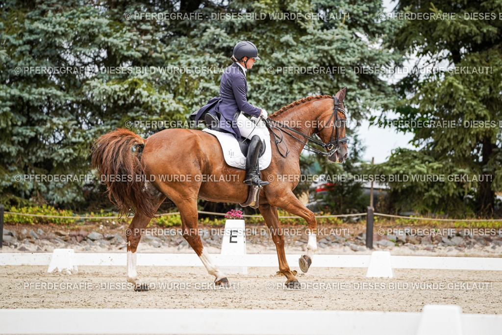 DSC04941 | Pferdegrafie