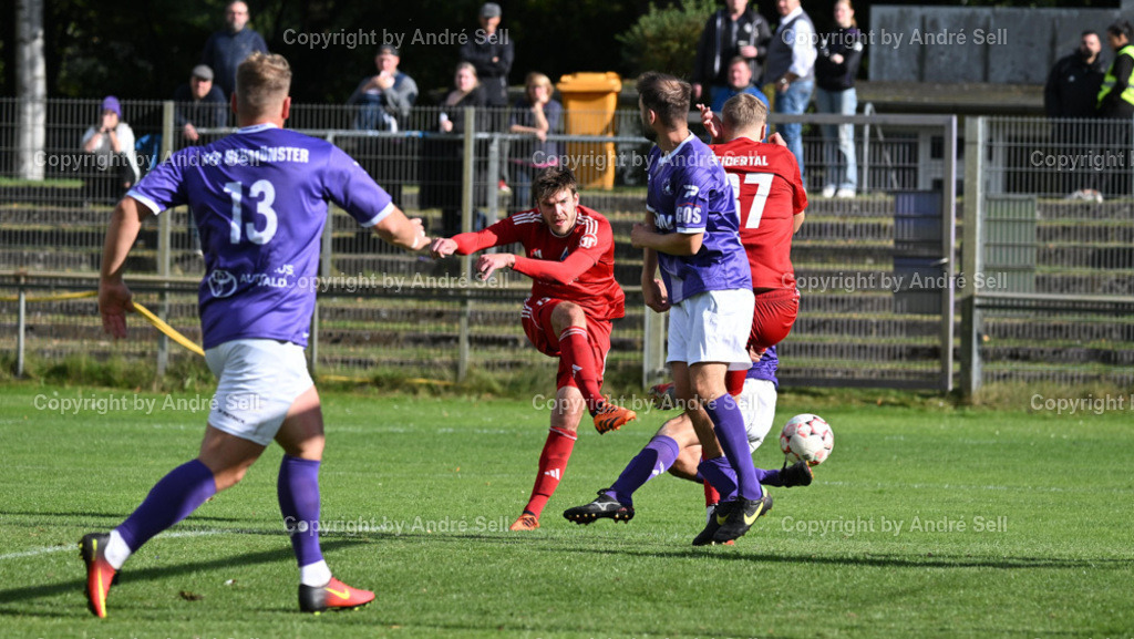 VfR Neumünster vs SpVg Eidertal Molfsee | Christopher Kramer (VfR #13) &amp; Christoph Kahlcke (VfR #21) / Livius Höckendorff (Molfsee #13 scheitert am Torwart) &amp; Meeno Bröker (Molfsee #37) - Fußball-Oberliga Männer 2024/2025 / VfR Neumünster vs SpVg Eidertal Molfsee / VfR-Stadion / Neumünster / 29.09.24 - Realisiert mit Pictrs.com