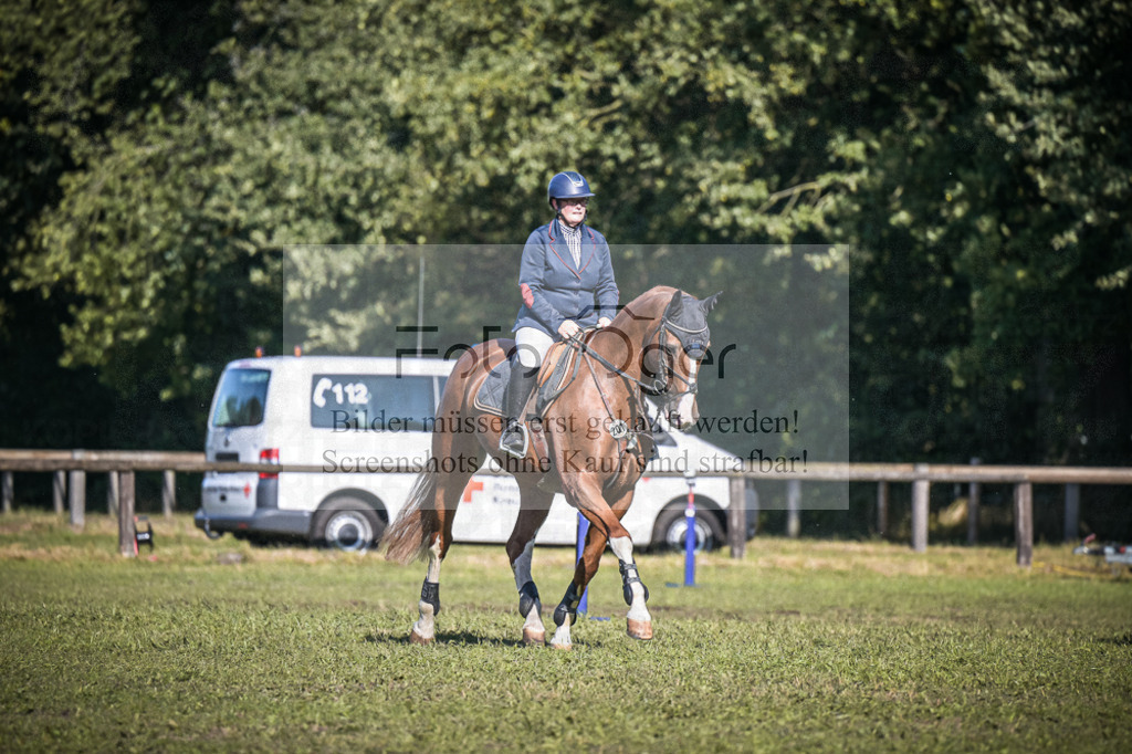 DOS_1504 | Entdecke hochwertige Reitturnierfotos von Foto Oger. Professionell, emotional und authentisch – jetzt Lieblingsmomente im Shop bestellen.Deutschlandweite Turnierfotografie. - Realisiert mit Pictrs.com