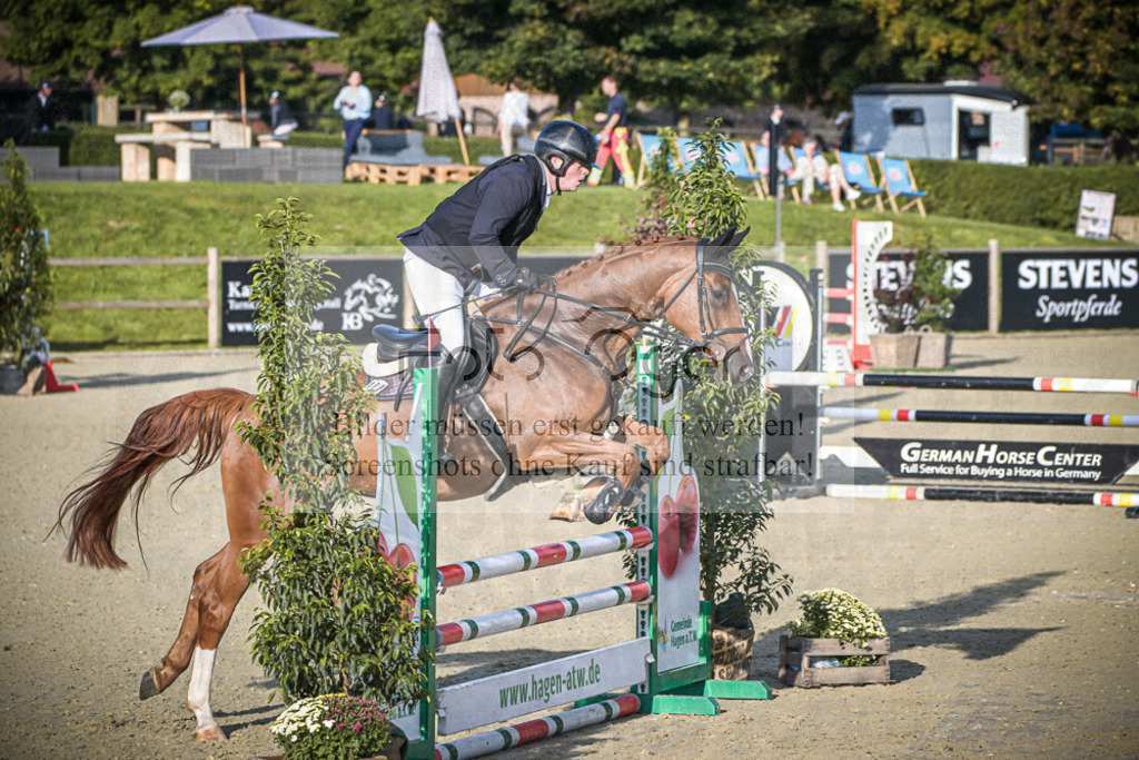 DOS_7496 | Entdecke hochwertige Reitturnierfotos von Foto Oger. Professionell, emotional und authentisch – jetzt Lieblingsmomente im Shop bestellen.Deutschlandweite Turnierfotografie. - Realisiert mit Pictrs.com