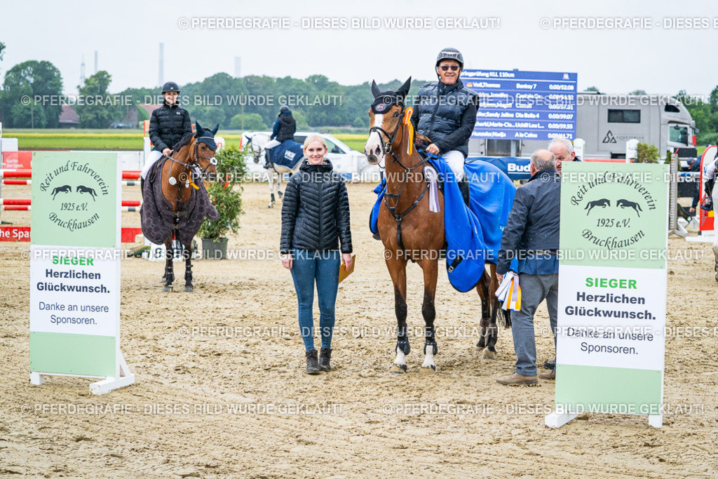 DSC09720 | Pferdegrafie