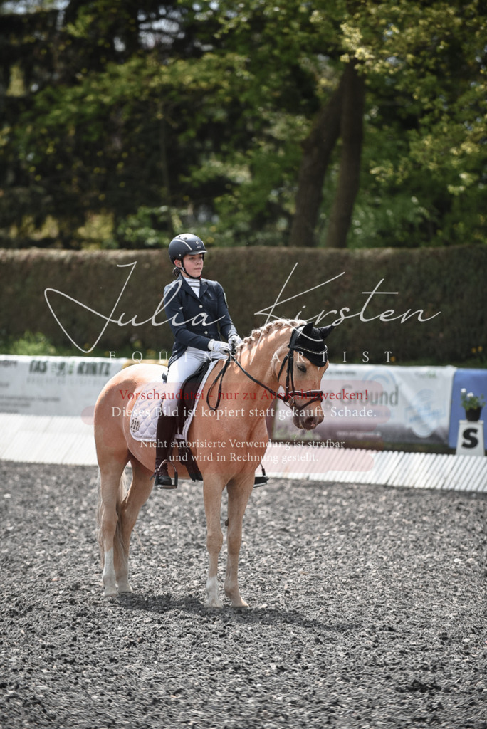 20230513_JK-Röhrsdorf-14-871 | Pferde- und Turnierfotografie in Westsachsen. Pferdeportraits, Auftragszeichnungen und intuitive Kunst.