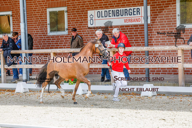GK (331 von 759) | mandyhollmannphotographie