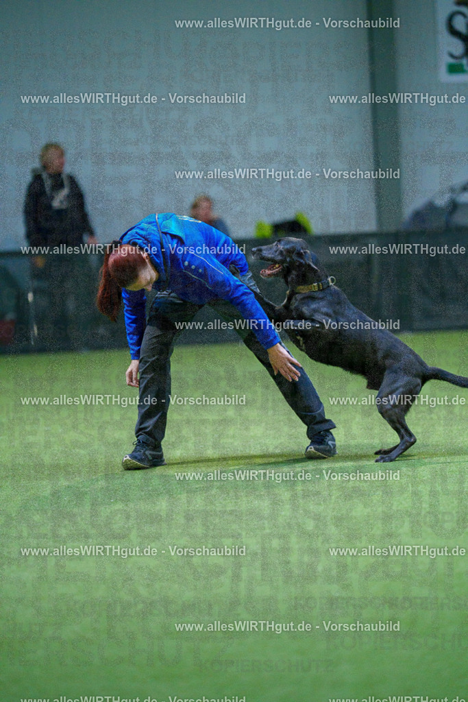 7R502519 | Professionelle Tierfotografie in Mönchengladbach von Daniel Wirth (allesWIRTHgut). Liebevolle & natürliche Bilder von Hunden & Katzen für unvergessliche Erinnerungen.