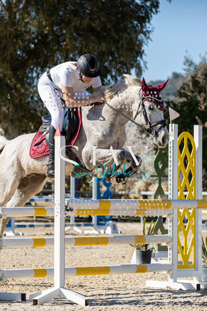 IMG_1231 | s-jay-photography - Realisiert mit Pictrs.com