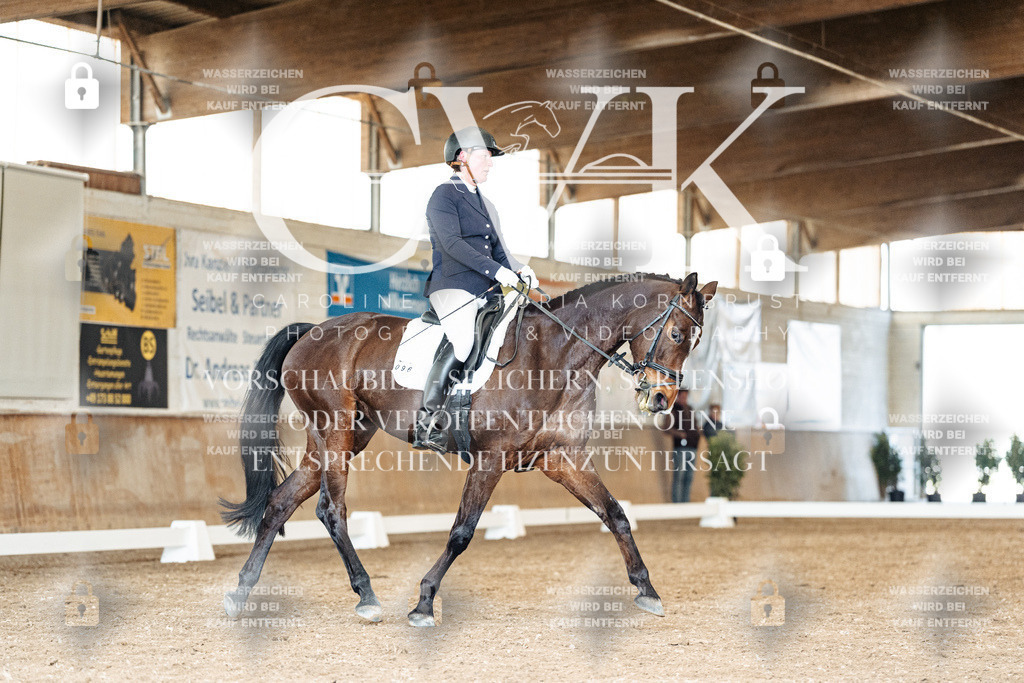 CK901374 | Turnierfotografie Pferdefotografie Trier Rheinland-Pfalz Pferdesport Reitsport Tierfotografie Sportfotografie Pferdevideo Pferdevideografie Equestrianvideography equestrianphotography  - Realisiert mit Pictrs.com
