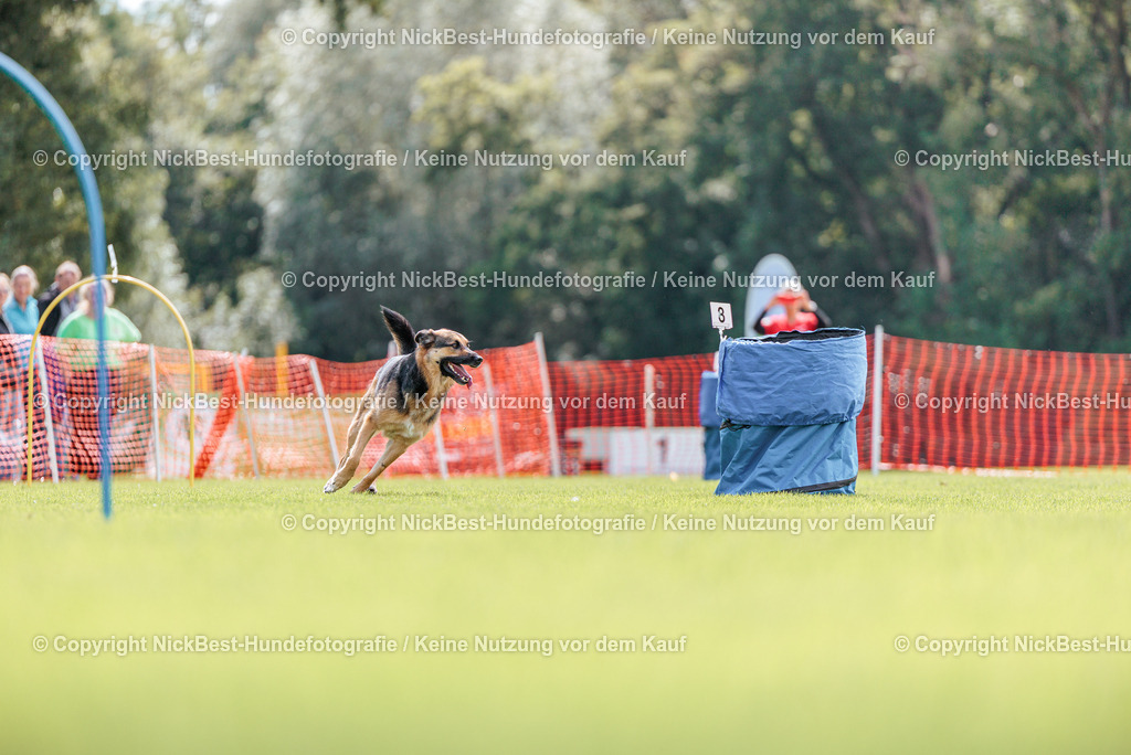 BSP Hoopers-H2-2026-Nickbest-Hundefotografie-TuS Komet Arsten e.V.-6767 | Dein Hund! Dein Moment! Deine Erinnerungen! Hundefotografie in Bremen Blumenthal. Ich fange die besonderen Momente deines Vierbeiners ein – ob Indoor mit Blitzanlage oder in der freien Natur. Sicher dir dein Moment und dein Termin für eure Erinnerungen.