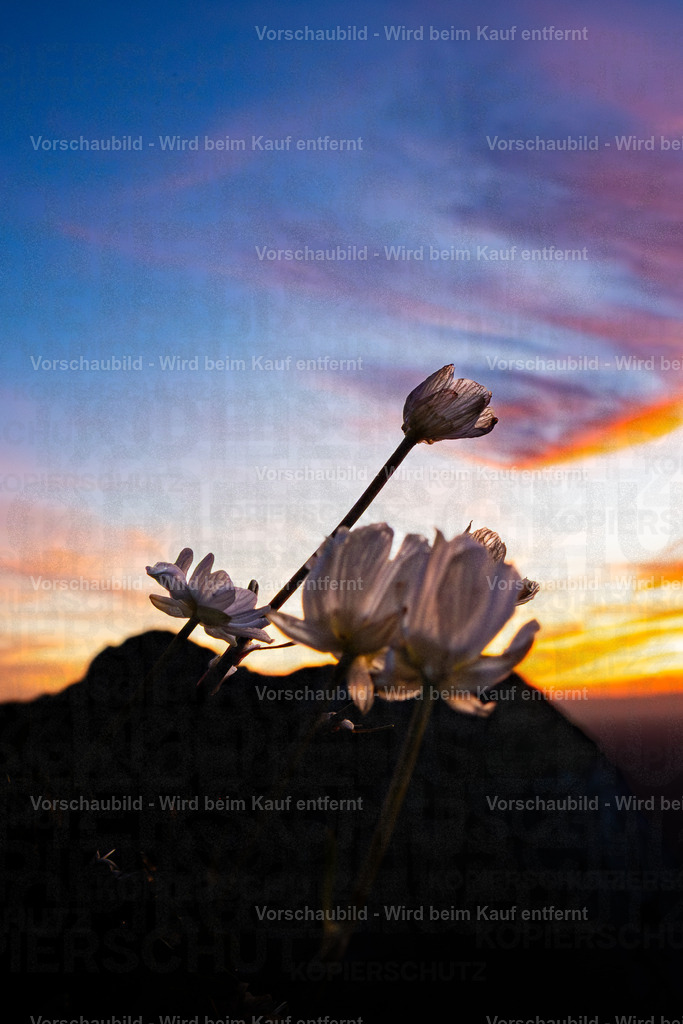Sonnenuntergang auf dem Pilatus | Sonnenuntergang auf dem Pilatus mit warmem Abendlicht, leuchtenden Wolken und Blick über die Zentralschweiz. Eine ruhige Bergserie zwischen Fels, Himmel und letzter Tagesfarbe. - Realisiert mit Pictrs.com