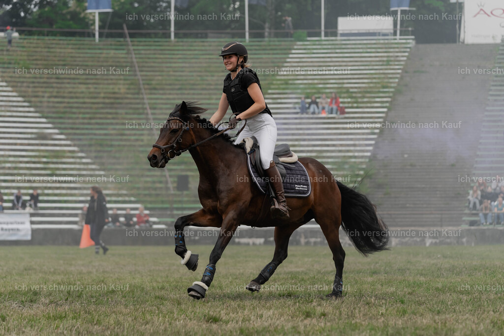 Showprogramm-399 | working equitationturnier fotograf videograf stoibphotography marixx film working equitation deutschland reitsport turnierfotografie eventfotografie equestrian events