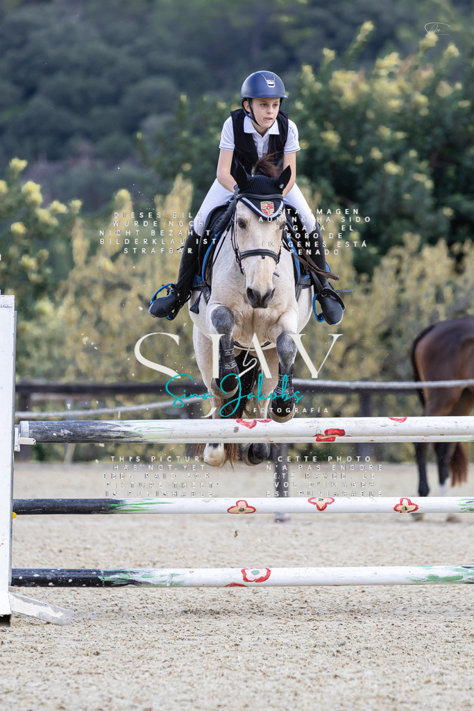 IMG_6186 | s-jay-photography - Realisiert mit Pictrs.com