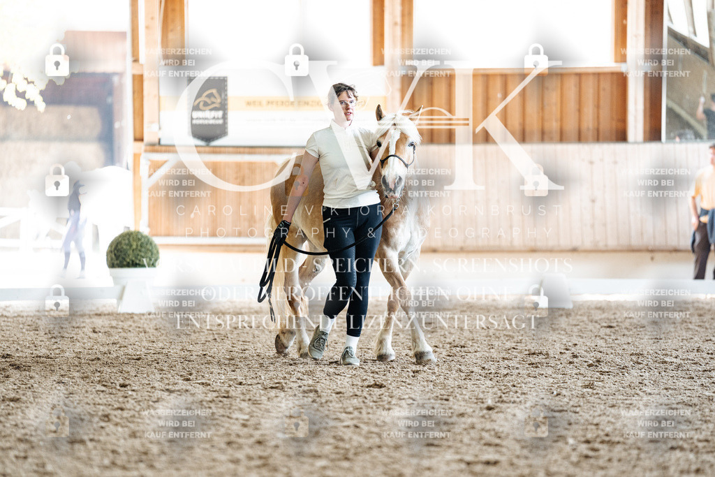 CK907858 | Turnierfotografie Pferdefotografie Trier Rheinland-Pfalz Pferdesport Reitsport Tierfotografie Sportfotografie Pferdevideo Pferdevideografie Equestrianvideography equestrianphotography  - Realisiert mit Pictrs.com
