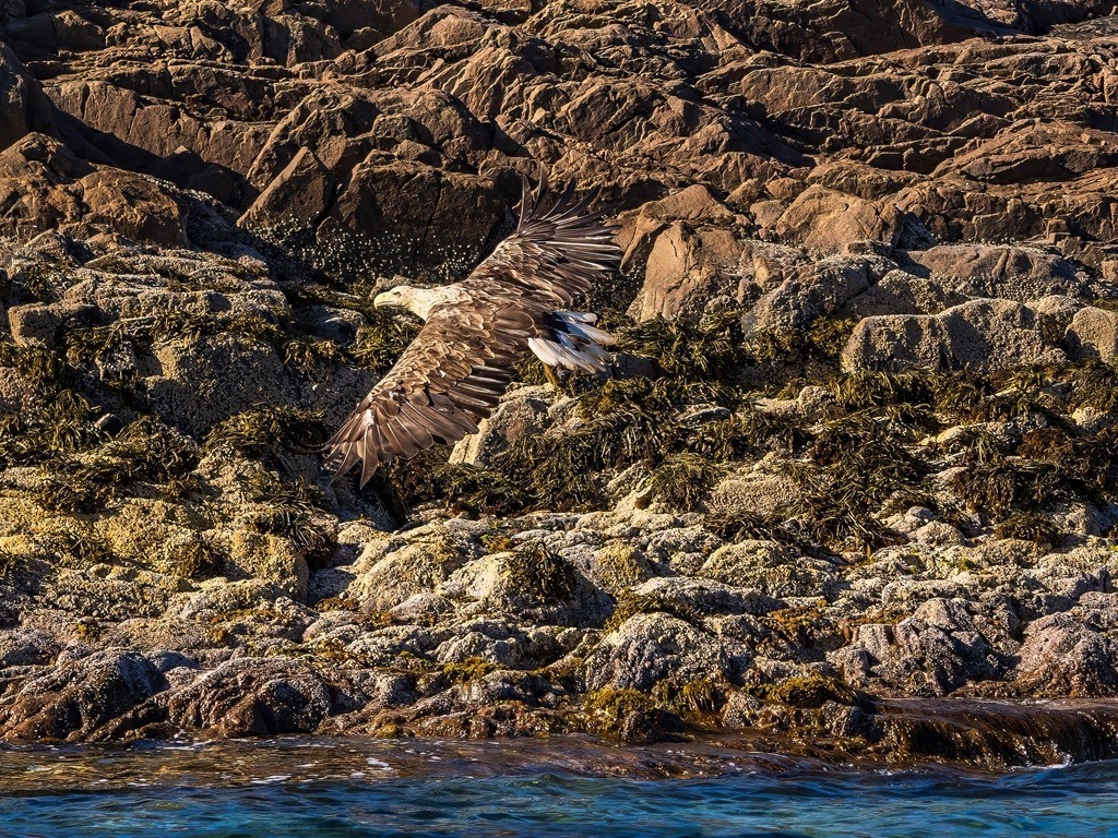 P1001648-LR-topaz-denoise-enhance | Natur im Moment - Realisiert mit Pictrs.com