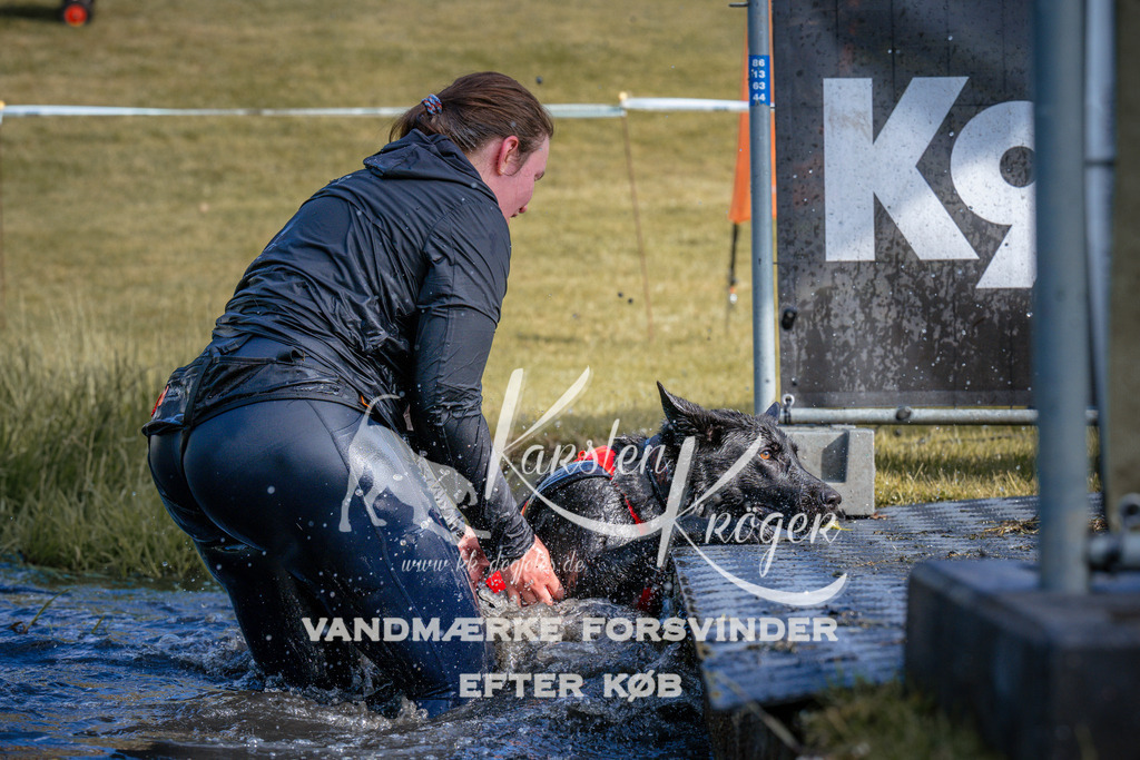 _ZZ989990813 | kk-dogfotos