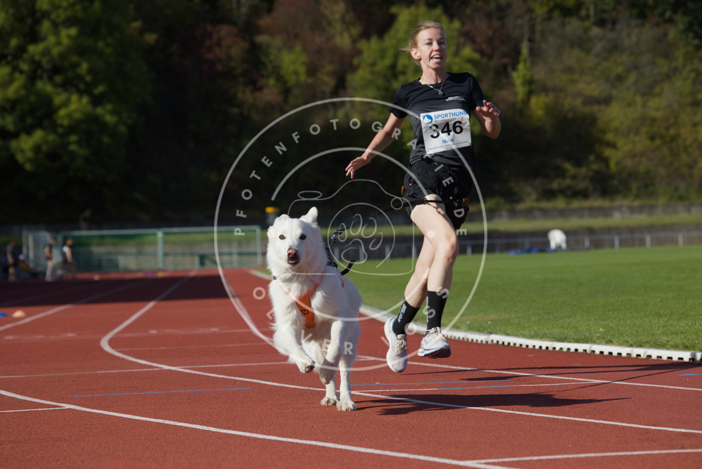 0L8A9371 | Hundefotografie, Tierfotograf, Pfotenfotografie, Fotoshooting Hund, Hunde Portrait, Hundesport, Hundeportraits, Heideshooting, Hunde, Sportfotograf, Hundefotograf, Turnierhundsport, THS,  - Realisiert mit Pictrs.com