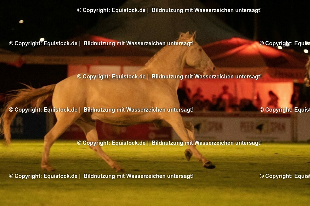 20230526_Pferdenacht_1494 | equistock