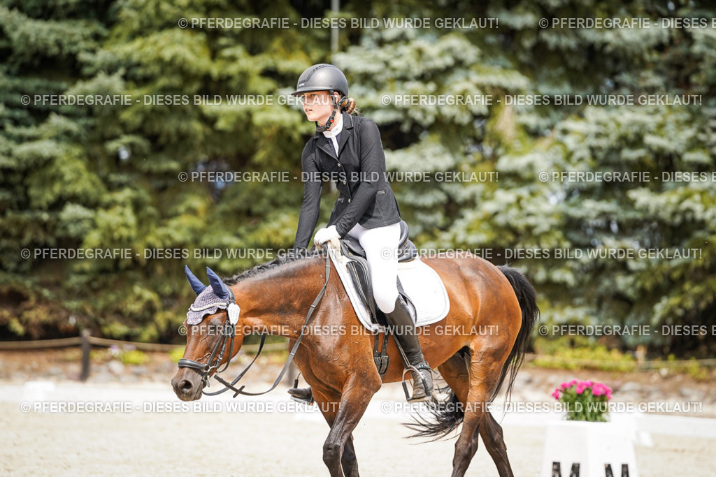 DSC04178 | Pferdegrafie