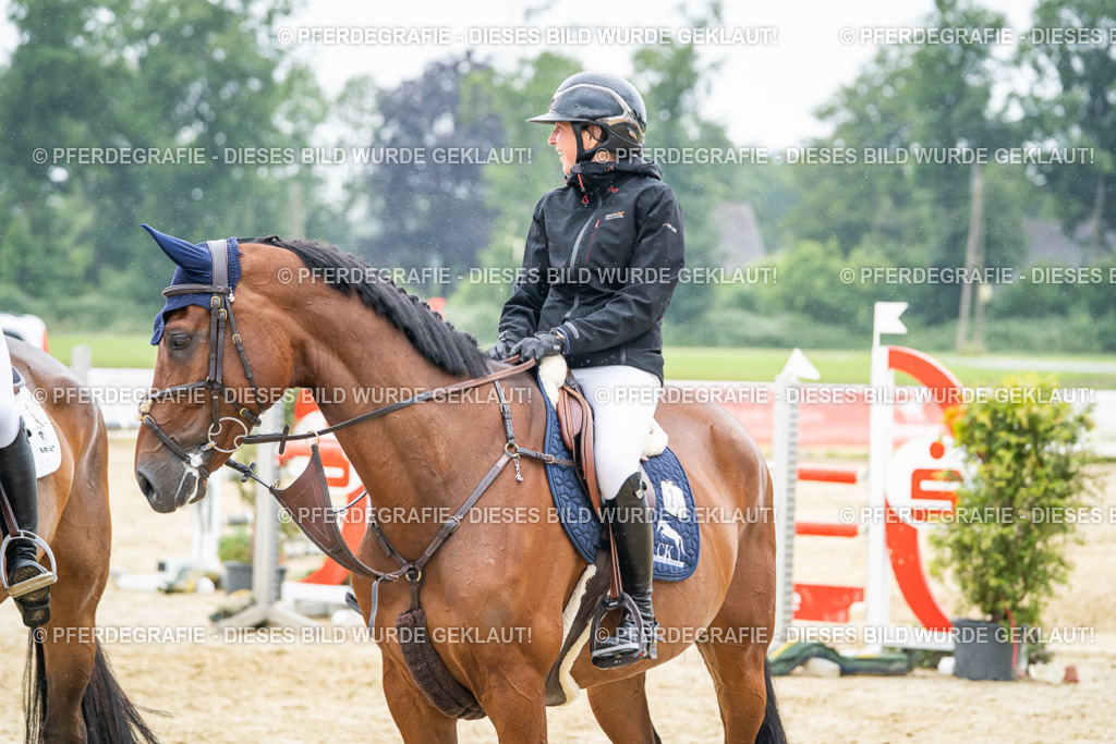 DSC03122 | Pferdegrafie