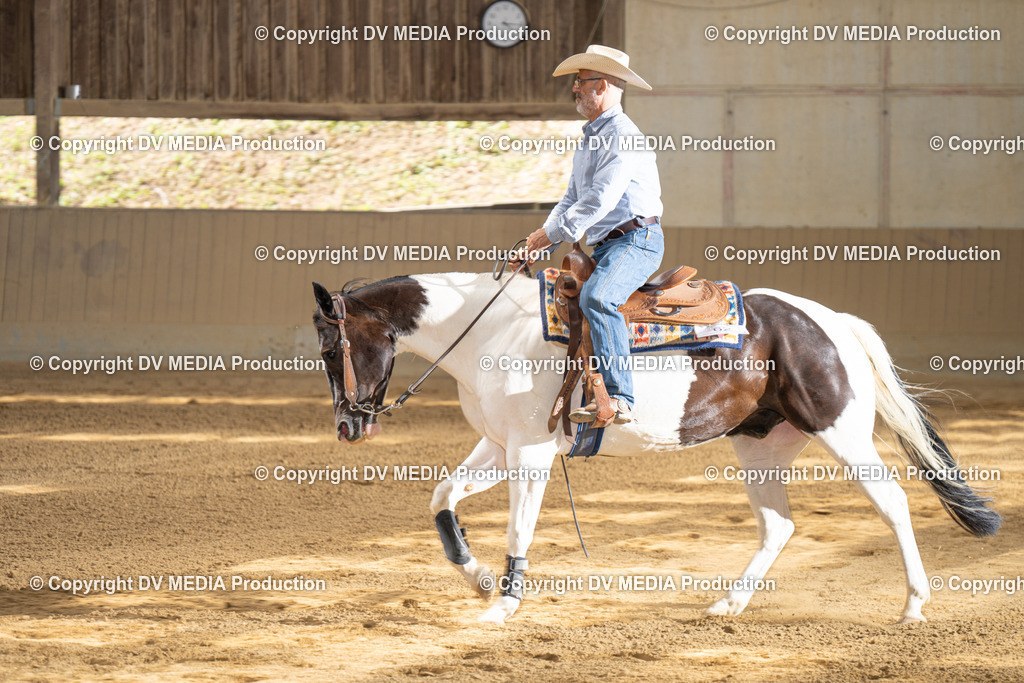 DSC00044-2 | dv-media-shop - Realisiert mit Pictrs.com