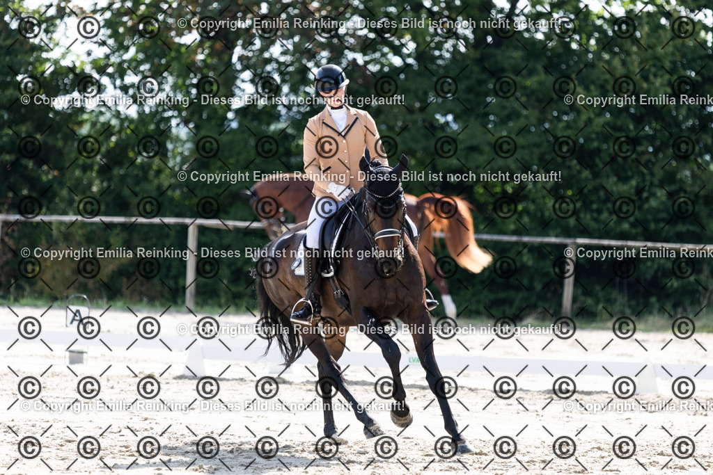 CL5A5811 | Emilia Reinking Fotografie - Realisiert mit Pictrs.com