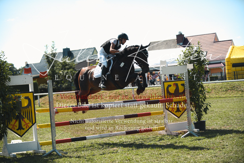 DSC_6979 | Pferde- und Turnierfotografie in Westsachsen. Pferdeportraits, Auftragszeichnungen und intuitive Kunst.