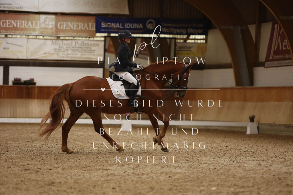 IMGM8045 | pl-fotografie