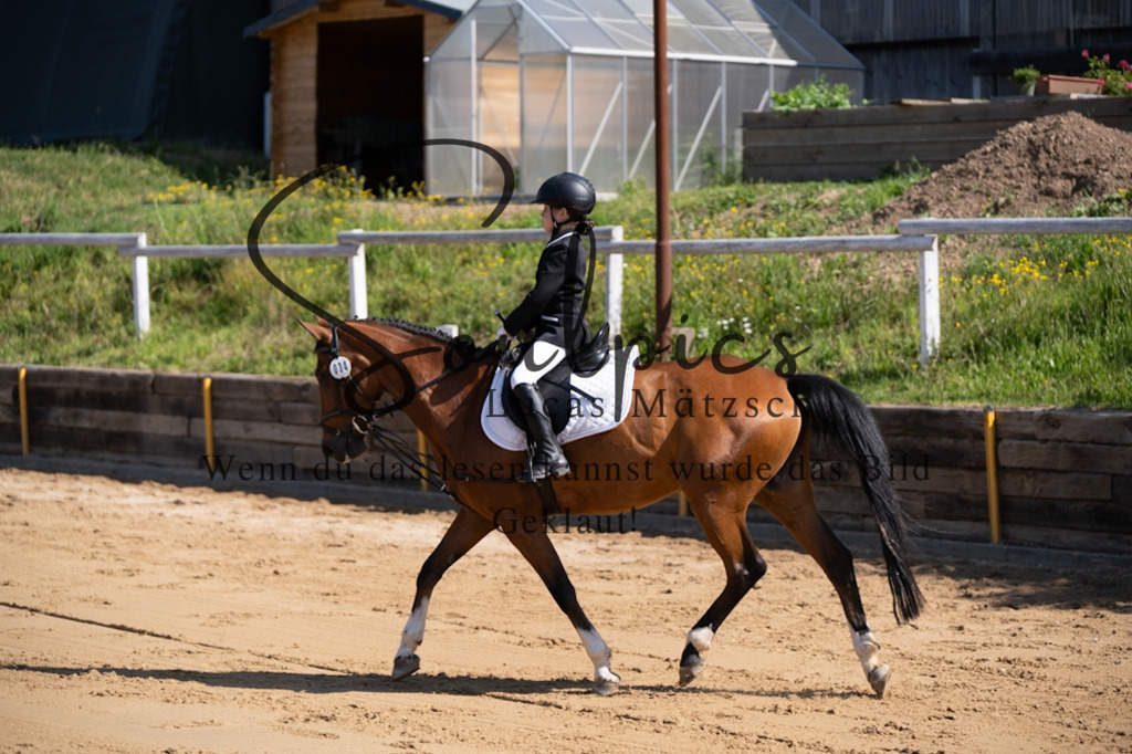 A7V07757 | Turnier/Reitfotograf