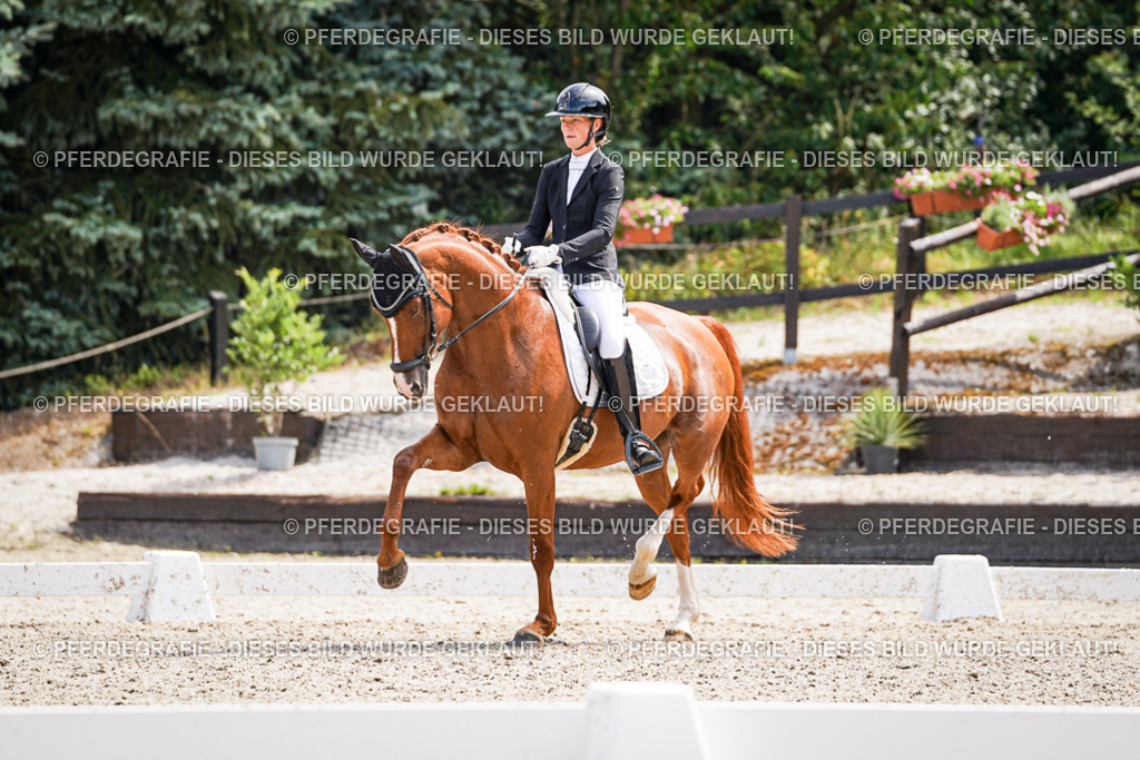 DSC09988 | Pferdegrafie