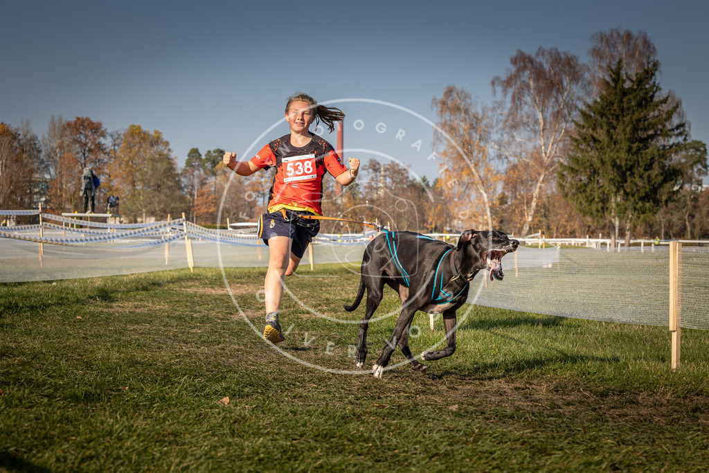 CaniXpix_0L8A9014 | Hundefotografie, Tierfotograf, Pfotenfotografie, Fotoshooting Hund, Hunde Portrait, Hundesport, Hundeportraits, Heideshooting, Hunde, Sportfotograf, Hundefotograf, Turnierhundsport, THS,  - Realisiert mit Pictrs.com
