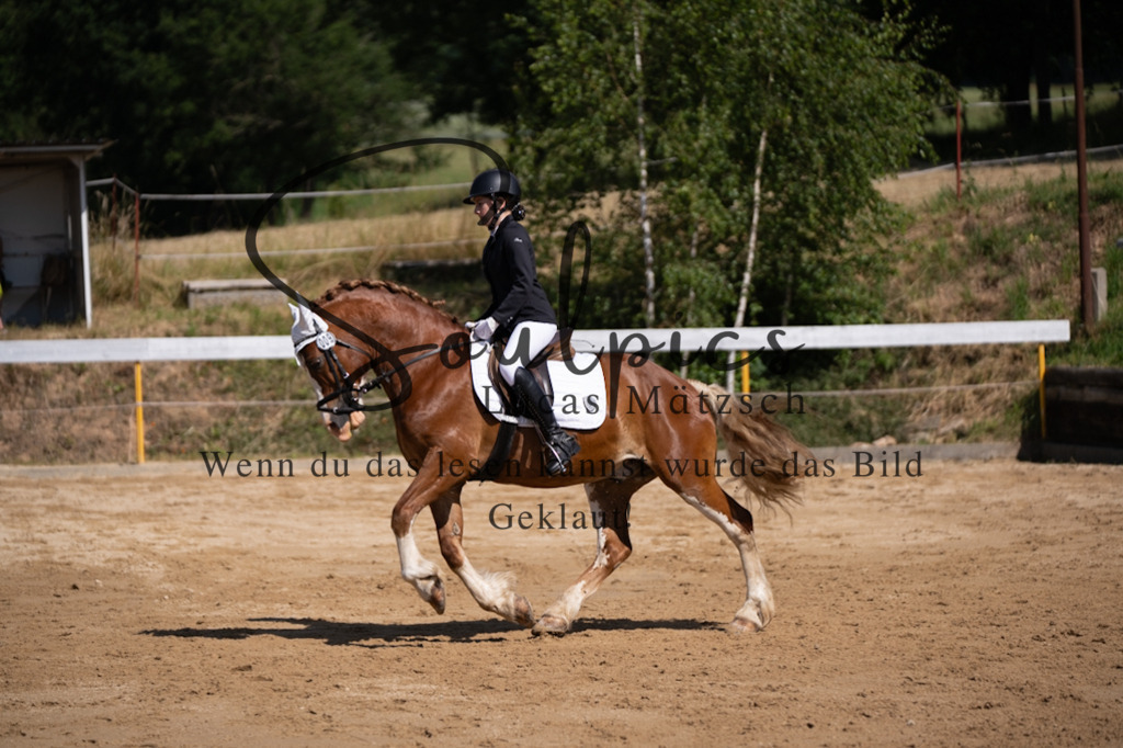 A7V07866 | Turnier/Reitfotograf
