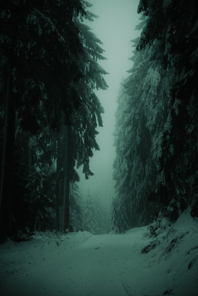 DSC04549 | Alexi Arnold - Photographer Outdoor and Landscapes 
GERMANY - Harz Moody Fotograf Landschaft
Collaboration and Ambrassor - Product Photos - Realisiert mit Pictrs.com