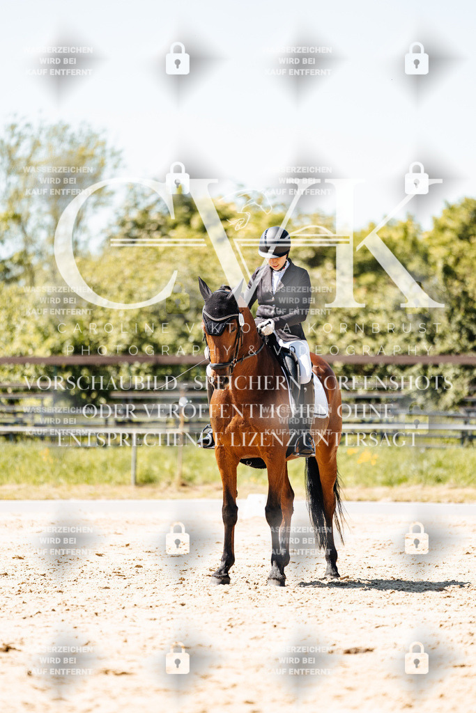 CK905842 | Turnierfotografie Pferdefotografie Trier Rheinland-Pfalz Pferdesport Reitsport Tierfotografie Sportfotografie Pferdevideo Pferdevideografie Equestrianvideography equestrianphotography  - Realisiert mit Pictrs.com