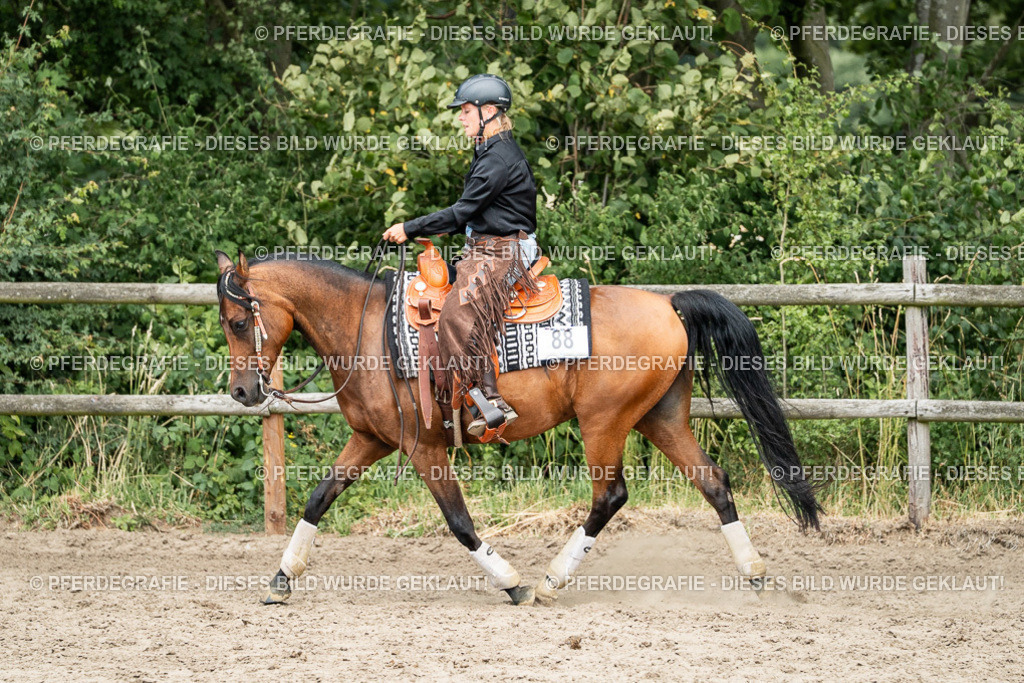 DSC01949 | Pferdegrafie