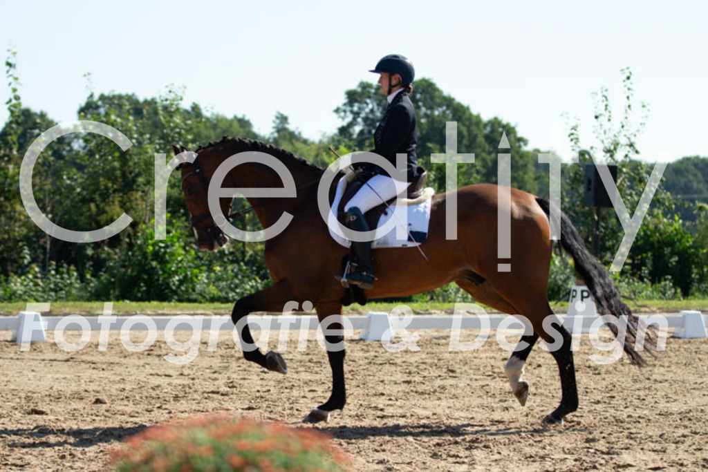 IMG_3383 | Creatify Fotografie