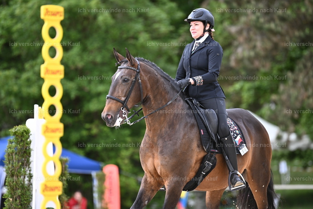 PI26_ST_Sara_Landvogt226_2414.JPG | working equitationturnier fotograf videograf stoibphotography marixx film working equitation deutschland reitsport turnierfotografie eventfotografie equestrian events