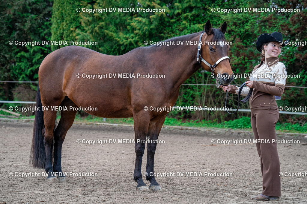 BA300063 | dv-media-shop - Realisiert mit Pictrs.com