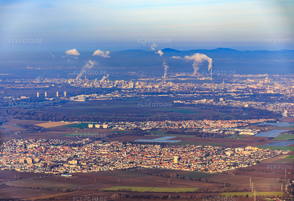 Luftbild: BASF von Mutterstadt aus gesehen im Ortsteil BASF in Ludwigshafen im Bundesland Rheinland-Pfalz in Deutschland. Foto: IMG_151993.jpg vom 12.12.2025 durch Werner Riehm/FLY-FOTO.de