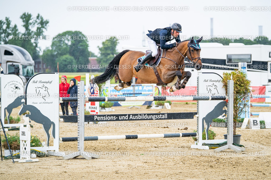 DSC08620 | Pferdegrafie