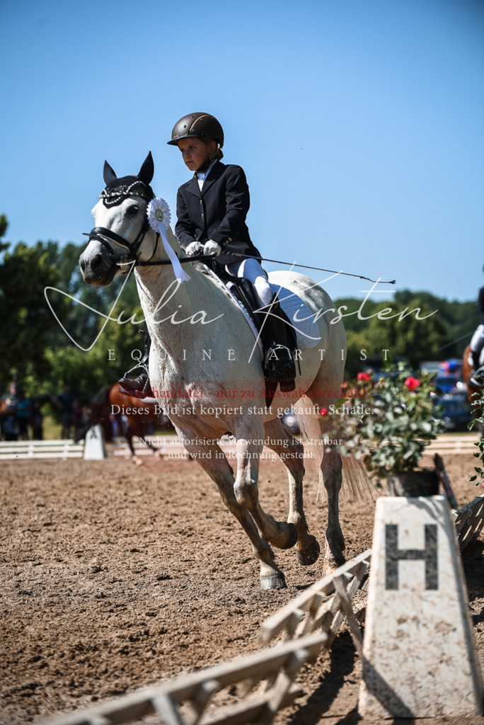 DSC_3703 | Pferde- und Turnierfotografie in Westsachsen. Pferdeportraits, Auftragszeichnungen und intuitive Kunst.