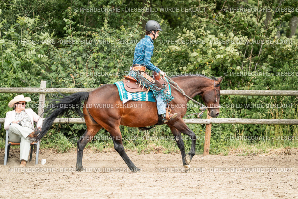 DSC01543 | Pferdegrafie