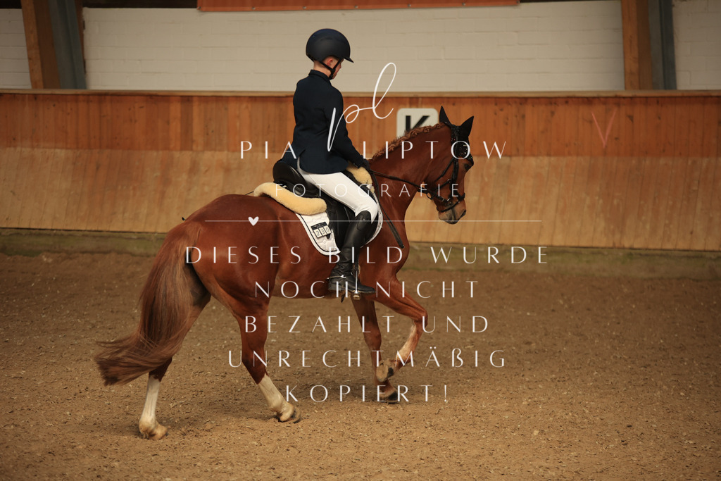 IMGT5153 | pl-fotografie