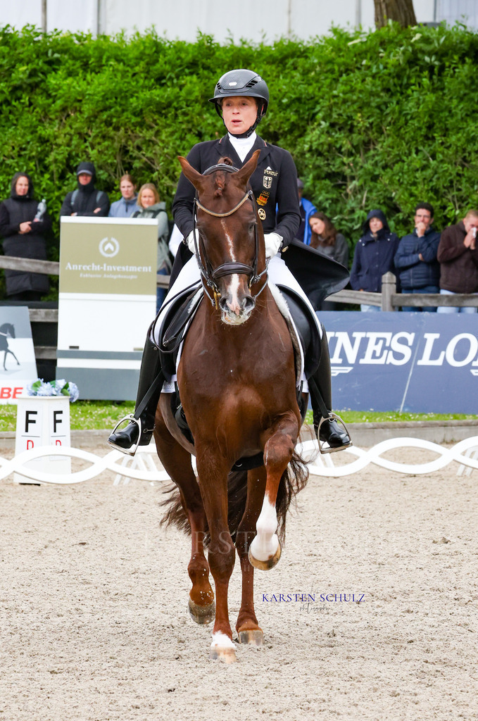 1B3A8410 | Reitsport Reiten