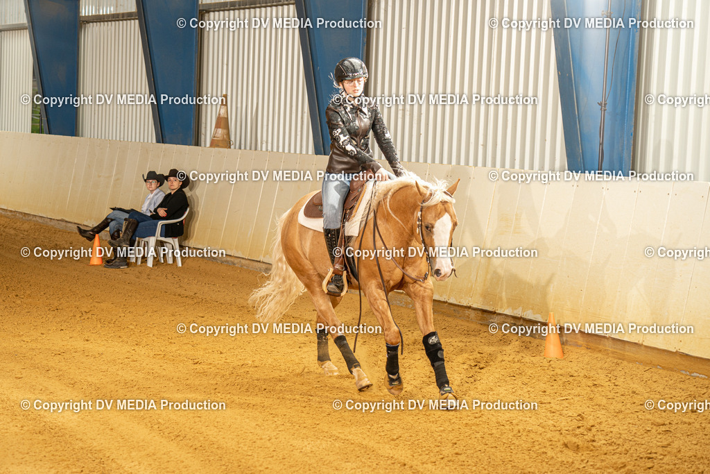 MIT00548 | dv-media-shop - Realisiert mit Pictrs.com