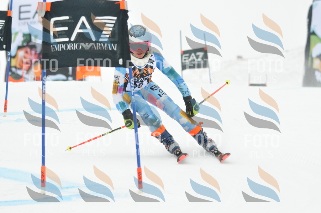 DSC_8043 | holidayphoto