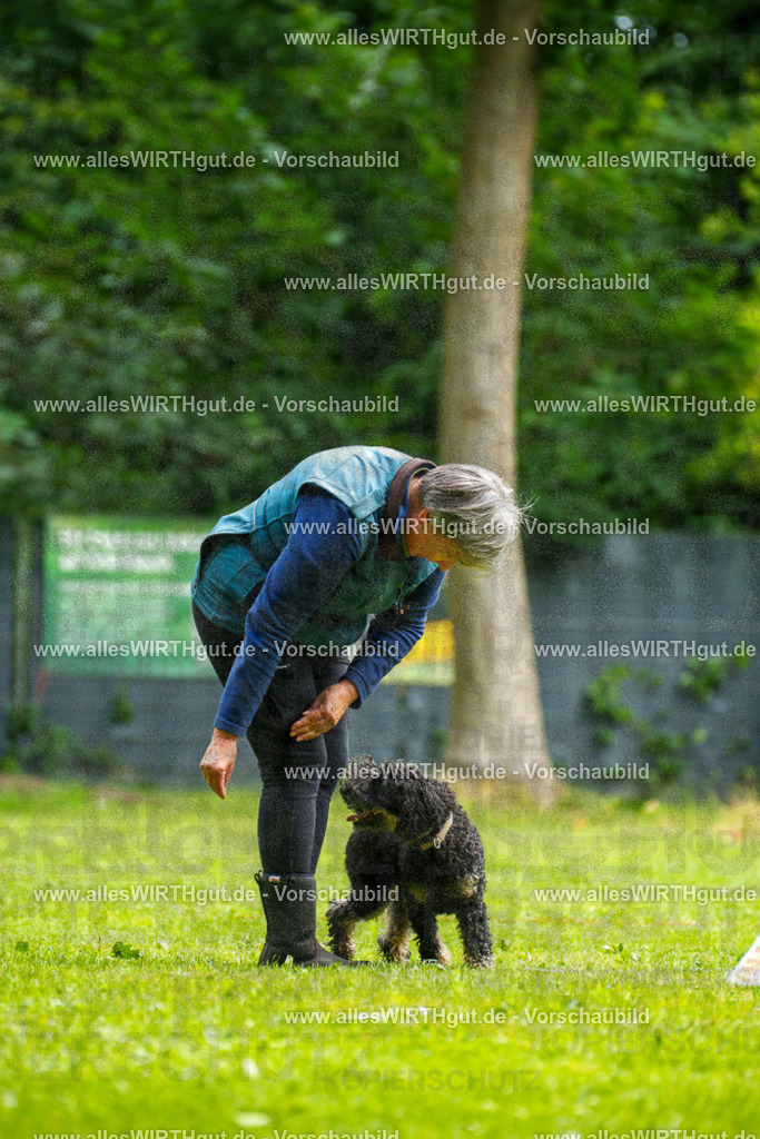 @allesWIRTHgut_Tierfotografie - www.allesWIRTHgut.de - 092839-7R507171 | Professionelle Tierfotografie in Mönchengladbach von Daniel Wirth (allesWIRTHgut). Liebevolle & natürliche Bilder von Hunden & Katzen für unvergessliche Erinnerungen.