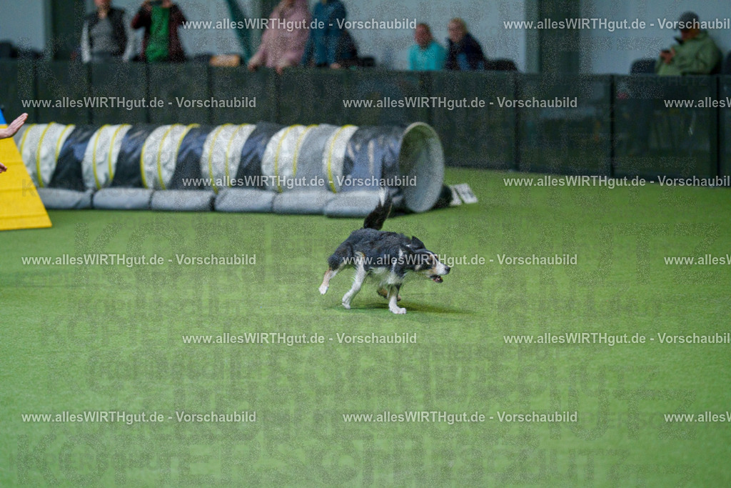 @allesWIRTHgut_Tierfotografie - www.allesWIRTHgut.de - 2604250815-7R505937 | Professionelle Tierfotografie in Mönchengladbach von Daniel Wirth (allesWIRTHgut). Liebevolle & natürliche Bilder von Hunden & Katzen für unvergessliche Erinnerungen.