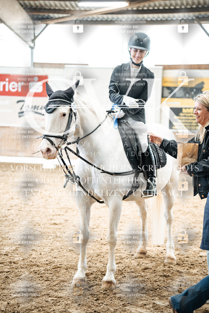 CK703103 | Turnierfotografie Pferdefotografie Trier Rheinland-Pfalz Pferdesport Reitsport Tierfotografie Sportfotografie Pferdevideo Pferdevideografie Equestrianvideography equestrianphotography  - Realisiert mit Pictrs.com